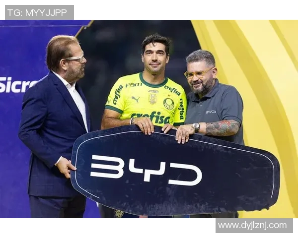 巴西足球明星在国际舞台上的辉煌成就与影响力探讨